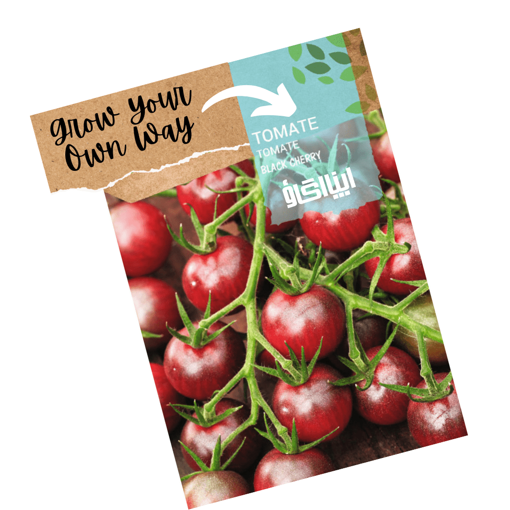 Black Cherry Tomato Seeds &ndash; Heirloom Mini Tomatoes