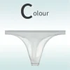 Low Rise Sexy Ice Silk Transparent Ultra Thin Seamless Thong