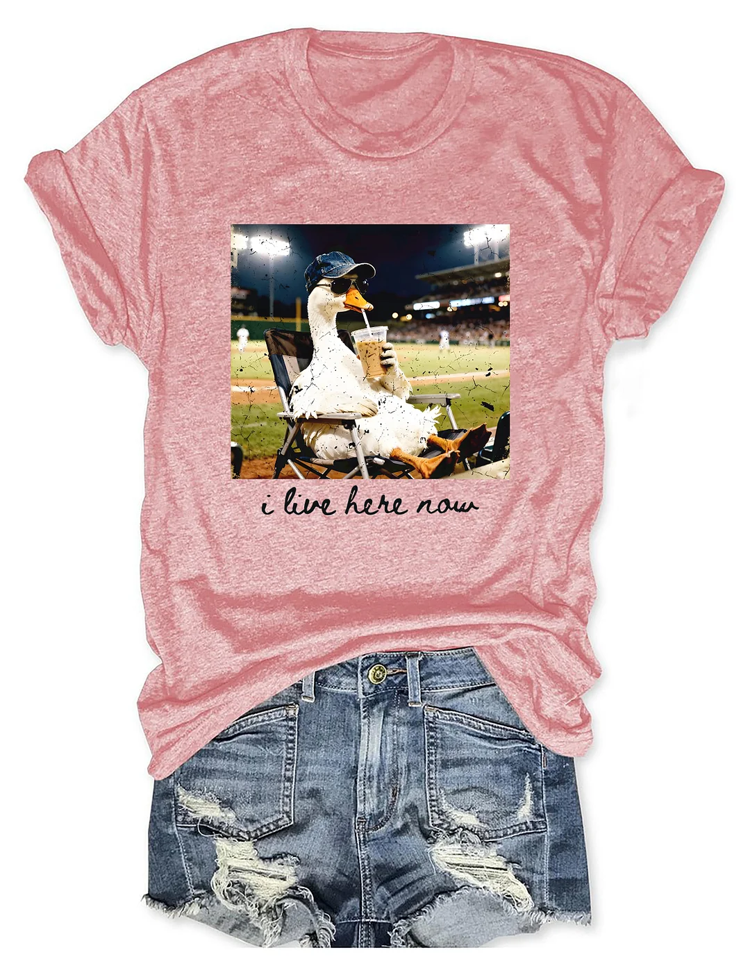 I live Here Now Goose Ballfield T-shirt