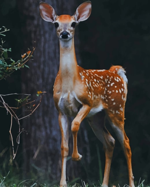 

Deer Photography – Paint By Numbers - 40*50CM, 501 Original