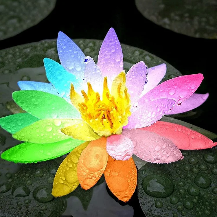 10 Rare Rainbow Lotus Seeds - Bowl Water Lily Hydroponic Plants - Fast Growing