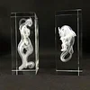 Pok&eacute;mon Mewtwo Fossil Skeleton Crystal Column Colorful Square Crystal Base