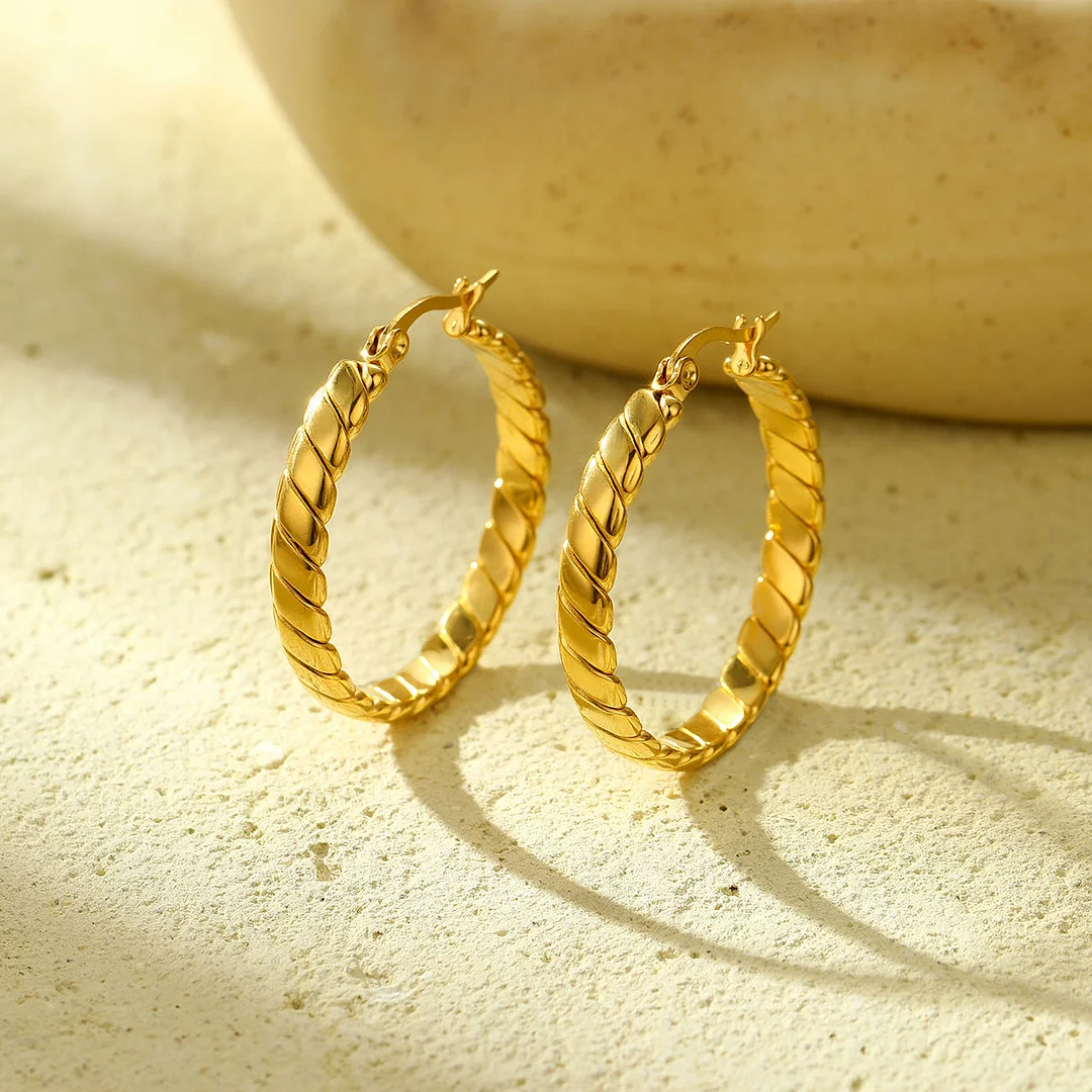Twisted Titanium Steel Earrings