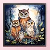 (US Only)Owl Printed Cross Stitch Kit 45x45cm DIY 11CT Thread Art Needlework Home Art