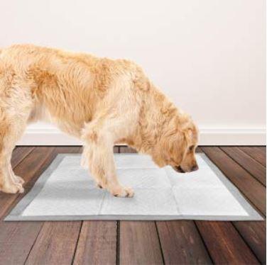 Pet Toilet Training Aid