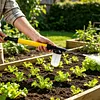 Diatomaceous Earth Powder Duster Clog-Resistant  Powder Applicator Large Capacity with 2 Extension Pole Dispenser for Home Greenhouse Farm Garden Indoor Outdoor (Yellow)