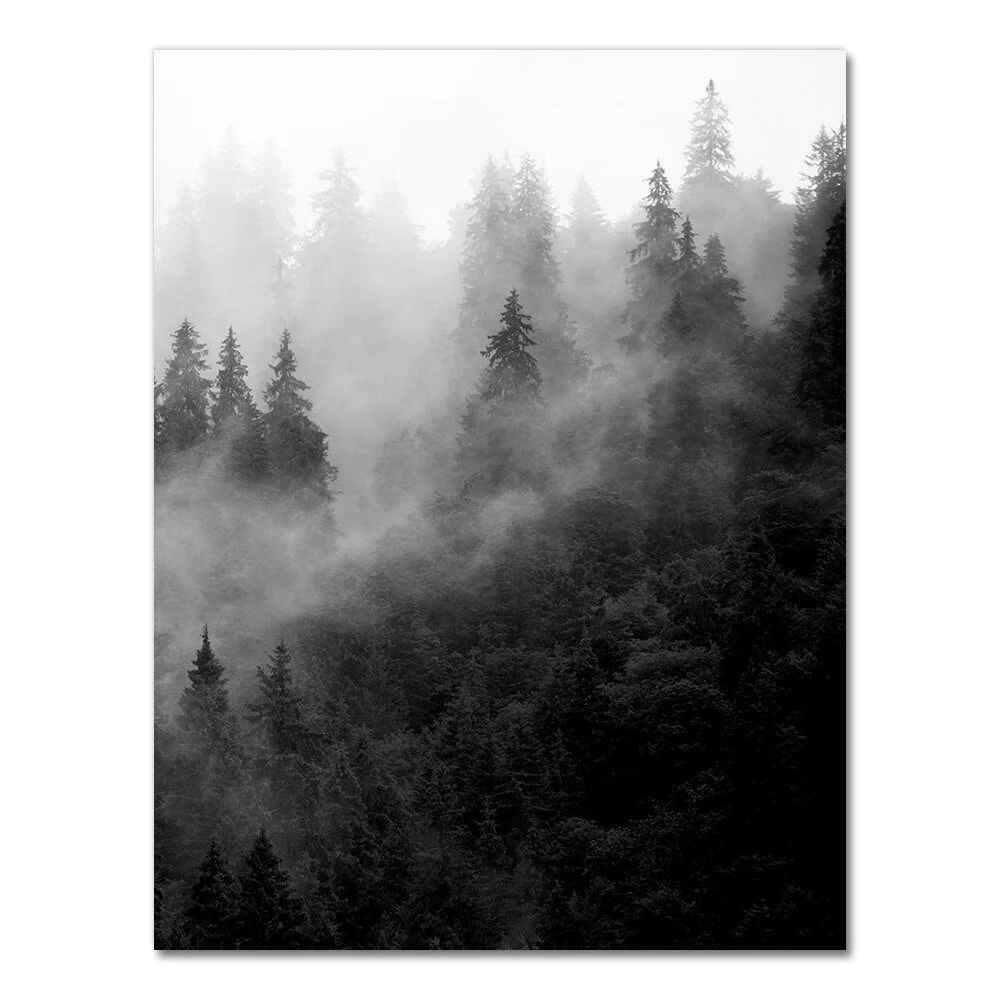 Nature Prints Forest Wall Art Black and White Tree Posters Foggy Forest Landscape Canvas Painting Wall Picture Living Room Decor
