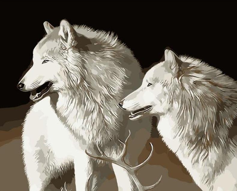 

White Wolves – Paint By Numbers - 40*50CM, 501 Original