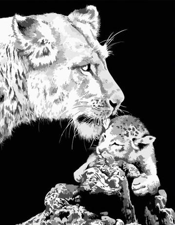

Black And White Asian Lion – Paint By Numbers - 40*50CM, 501 Original