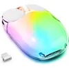 Wireless Gaming Mouse,Portable Dual Mode (2.4GHz+BT5.0) Fully Transparent Cute Mice,Battery Digital Display,RGB Backlight Rechargeable Silent Mice,for Laptop/iPad/Phone/PC/Mac