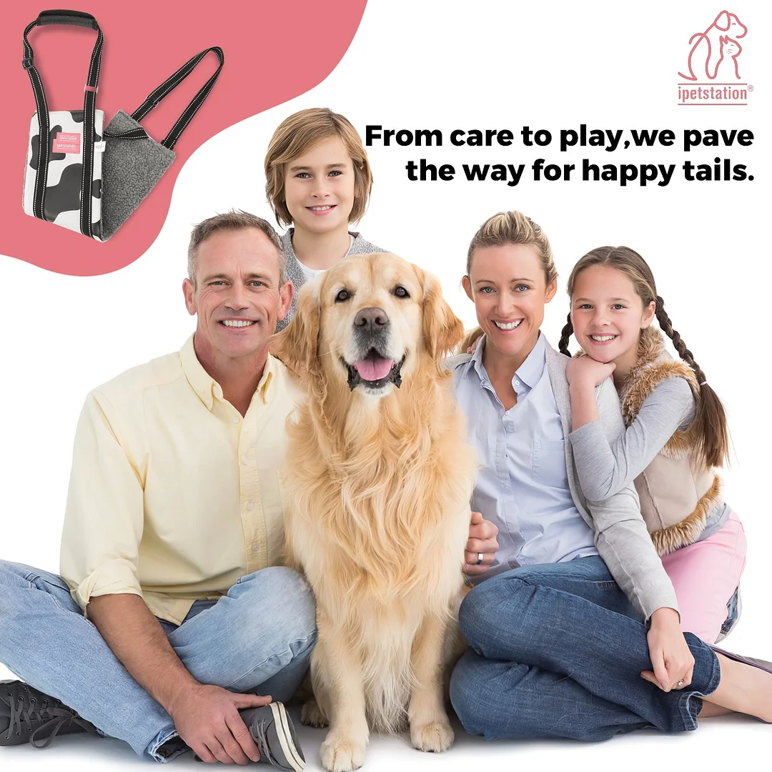 Dog Lift Harness Large Small Medium Sized Dogs,Dog Sling Support Harness Rear for Back Legs Senior Assist Hip Recovery Black White (S)