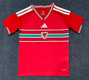 2026 Wales Home Football Shirt 1:1 Thai Quality