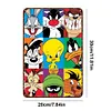 Looney tunes - Panneaux en &eacute;tain m&eacute;tallique(20*30cm/30*40cm)
