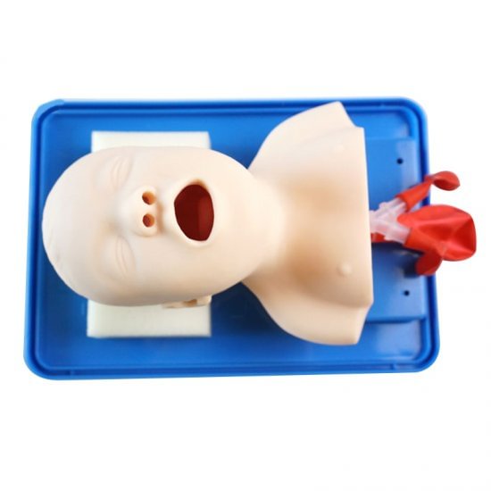 Advanced Infant Tracheal Intubation Model Education Teach Training Model