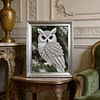 Owl-Special Shaped Diamond Painting
