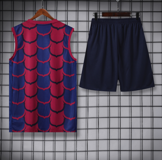 24/25 Barcelona Vest Training Kit Football Shirt Thai Quality