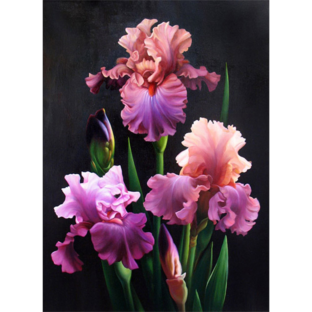 

Plants Flower - Round Drill Diamond Painting - 45*60CM (Big Size), 501 Original