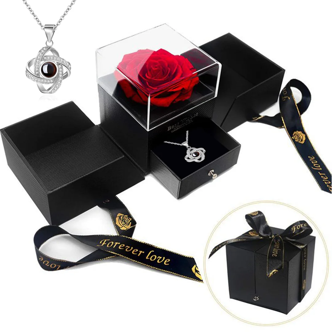 Vangogifts Eternal Preserved Real Rose Set with '100 Languages I Love You' Projection Heart Necklace Best Gift for MOM, Wife, Girlfriend