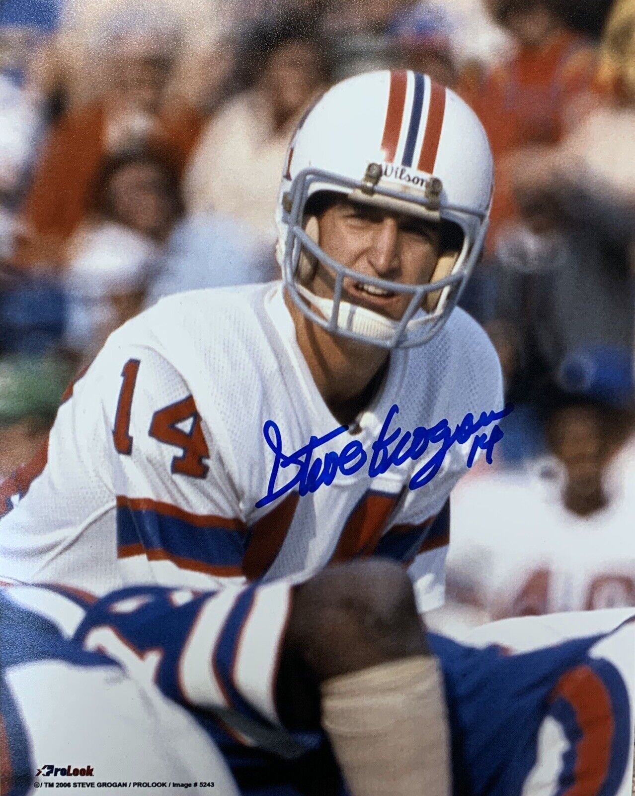 Steve Grogan New England Patriots Quarterback Autographed 8x10 Pose #3