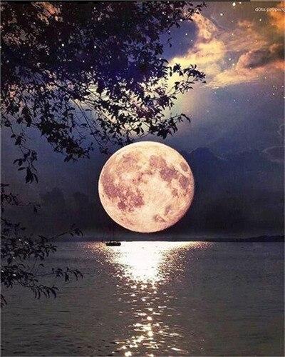 

Beautiful Full Moon on Lake – Paint By Numbers - 40*50CM, 501 Original