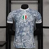 2025 Player Version Italy Training Wear Grey Football Shirt 1:1 Thai Quality