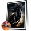 (40*50cm)Horse - Full Square Drill Diamond Painting