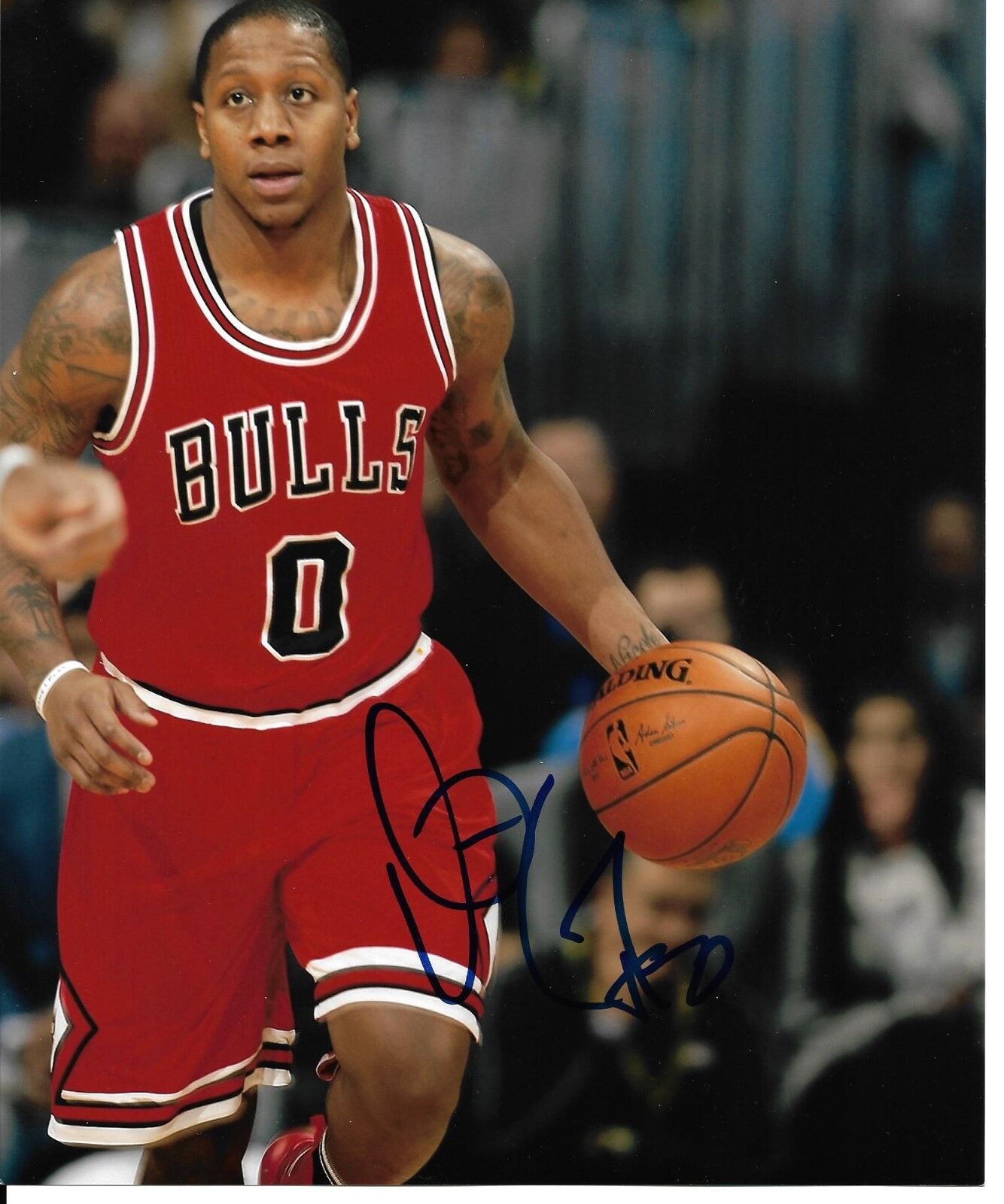 ISAIAH CANAAN signed autographed CHICAGO BULLS 8x10 Photo Poster painting w/COA