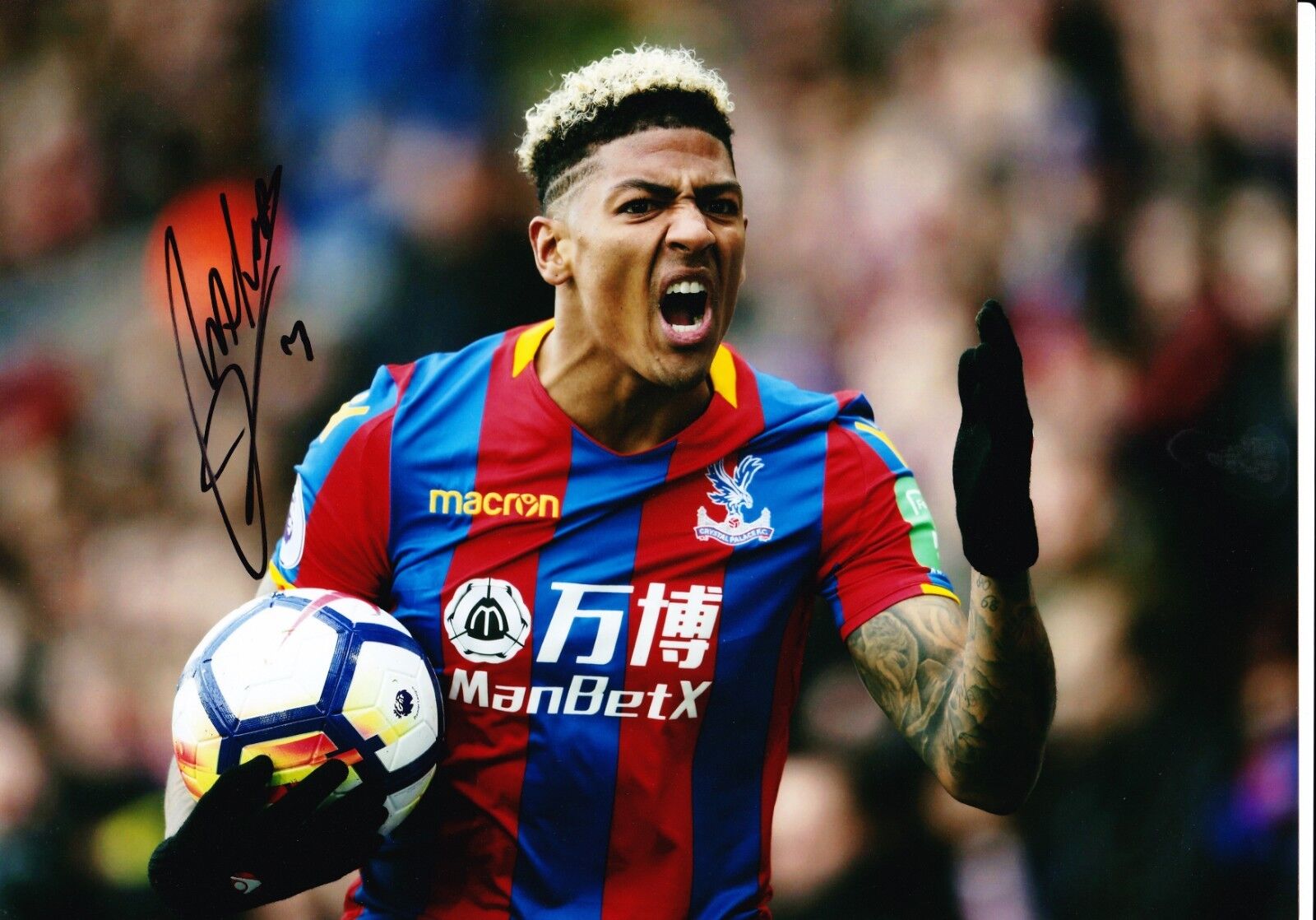 Patrick van Aanholt Signed 12X8 Photo Poster painting CRYSTAL PALACE Signature AFTAL COA (1891)