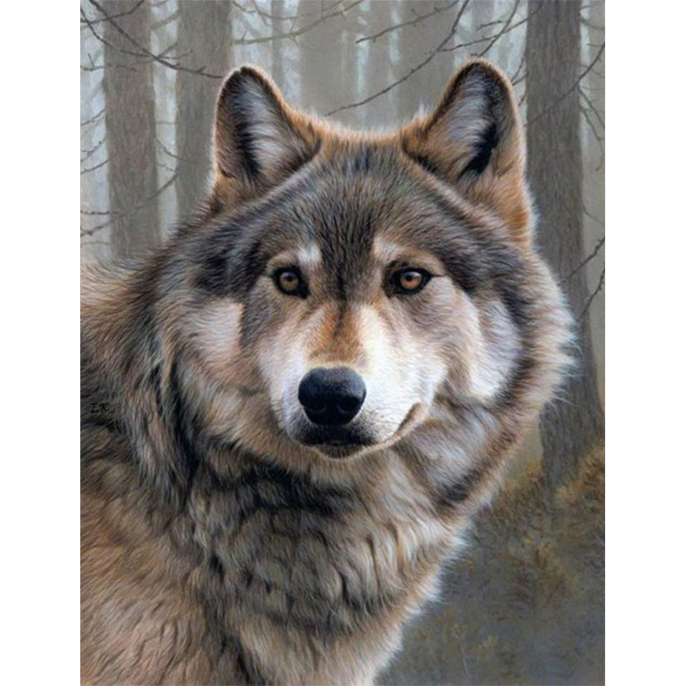 

Wolf - Round Drill Diamond Painting - 30*40CM, 501 Original