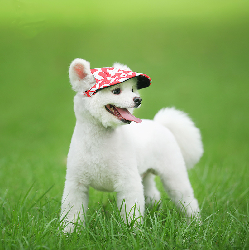Dog Hat Pet Outdoor Baseball Cap