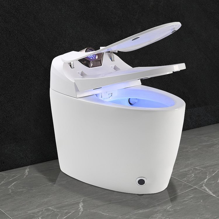 Homemys Modern Smart One-Piece Floor Mounted Elongated Toilet and Bidet with Seat