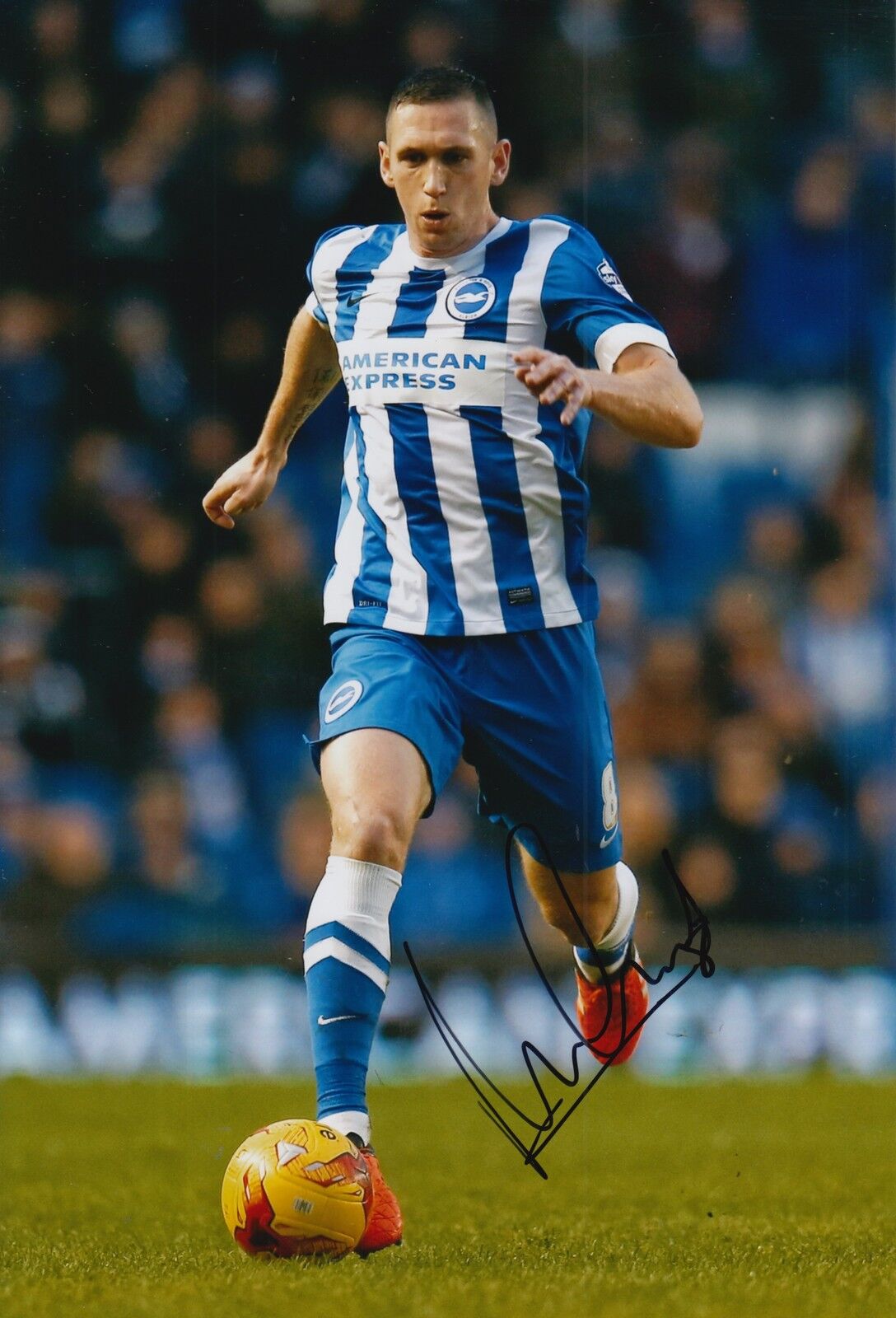 BRIGHTON & HOVE ALBION HAND SIGNED ANDREW CROFTS 12X8 Photo Poster painting 1.