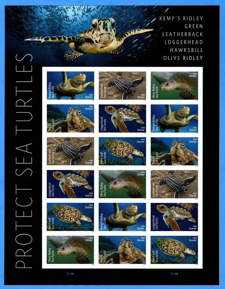 2024 USA Protect Sea Turtles Forever Stamps