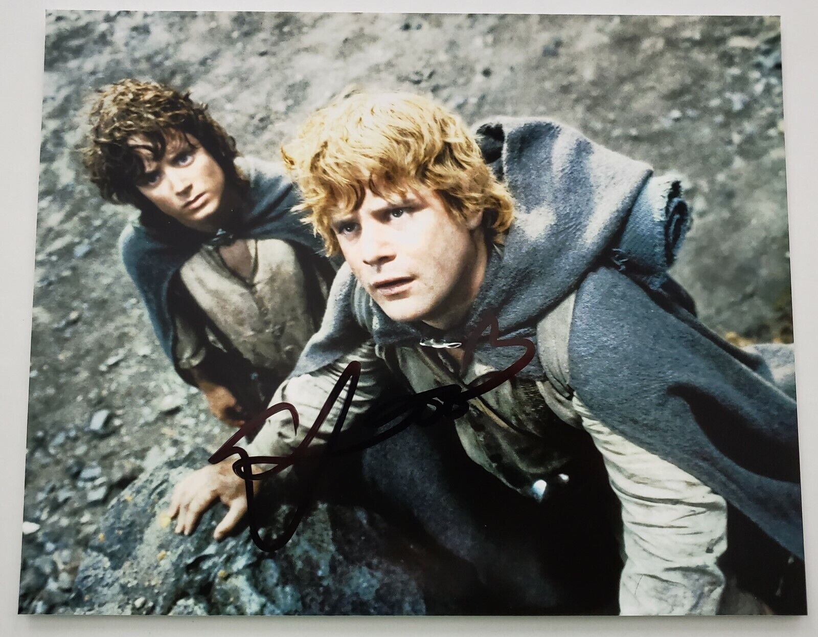 Elijah Wood Signed Lord Of The Rings 8x10 Photo Poster painting LOTR Dirk Gently Wilfred RAD