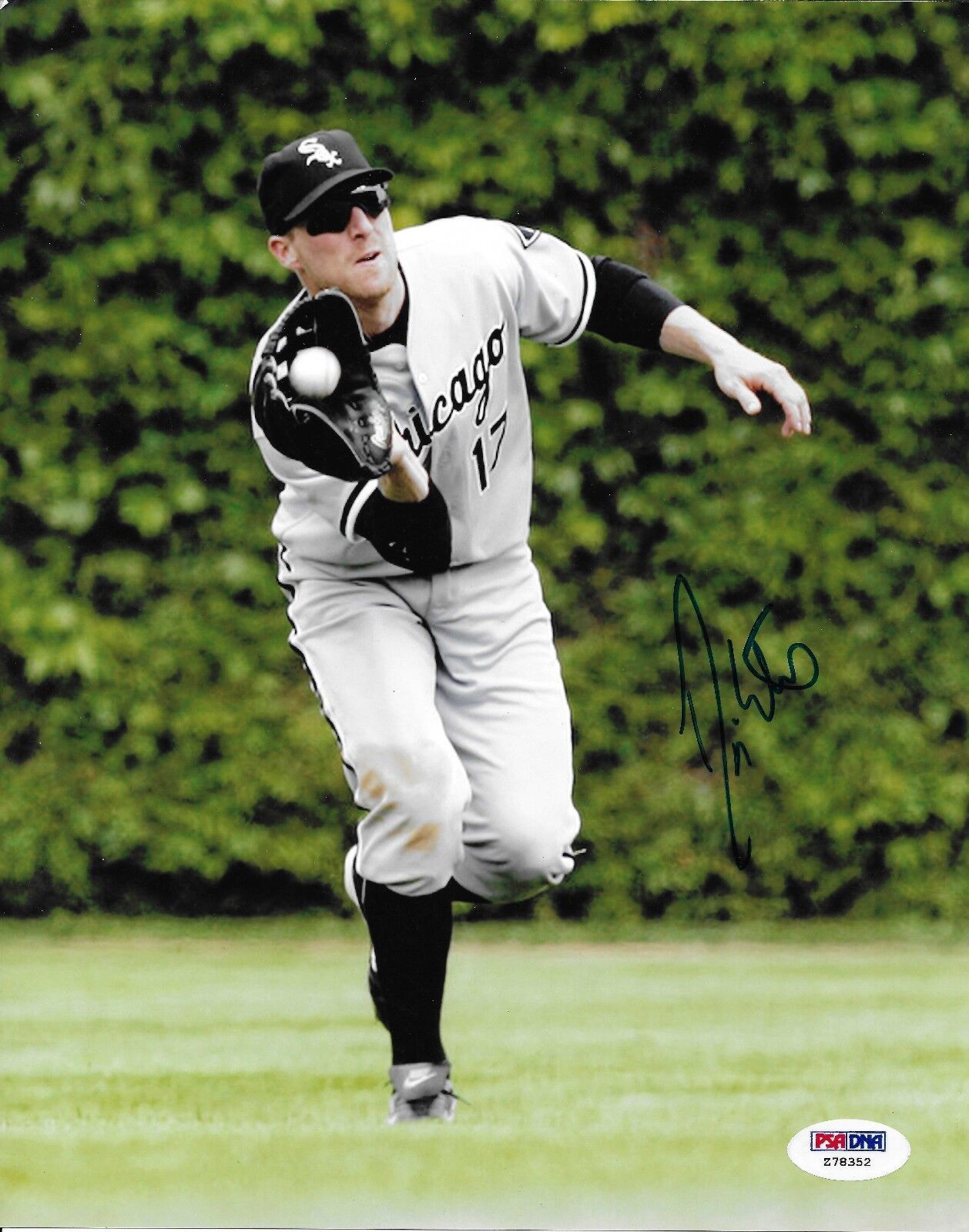 Darin Erstad Signed White Sox Baseball 8x10 Photo Poster painting PSA/DNA COA Picture Autograph