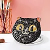 Diamond painting Black Cat Mirror