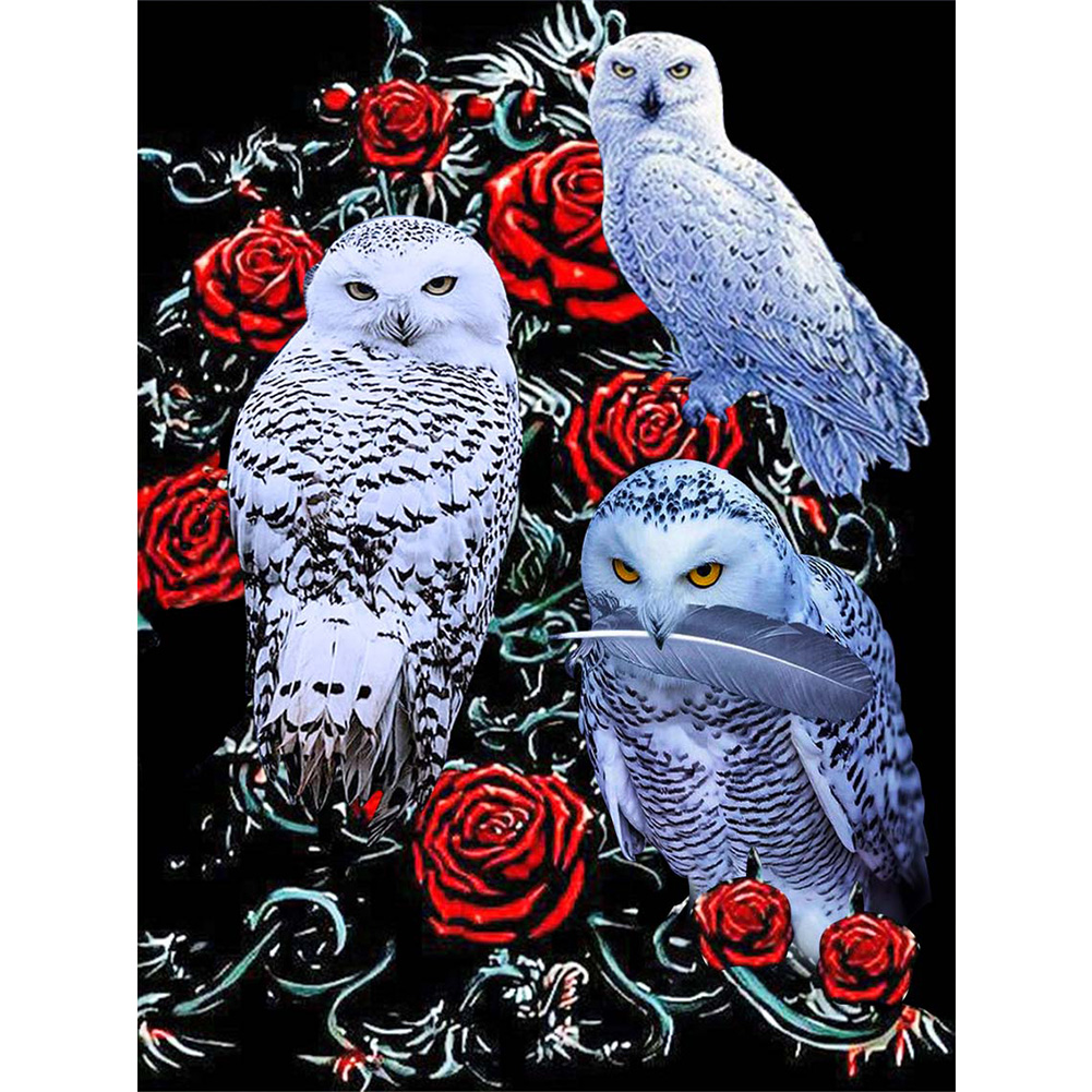 

(Multi-Size) Owl - Round/Square Drill Diamond Painting, Square diamond 30*40cm, 501 Original