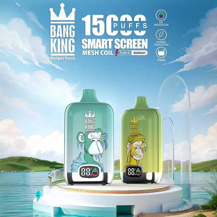 Bang King smartscreen 15000 Puffs Sell Well LED Display (Box of 3) mysite www.vapeshoppromax.com