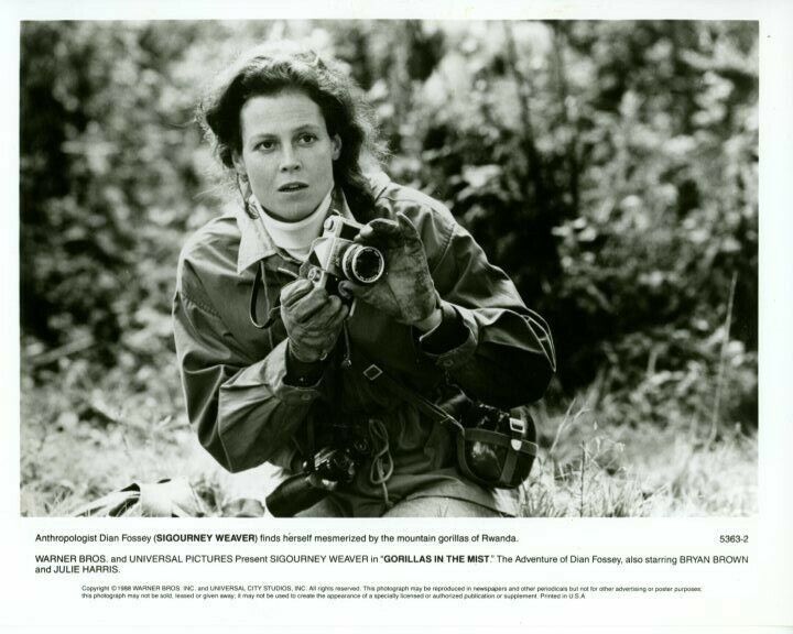 Sigourney Weaver Gorillas in the Mist Original Press 8X10 Photo Poster painting