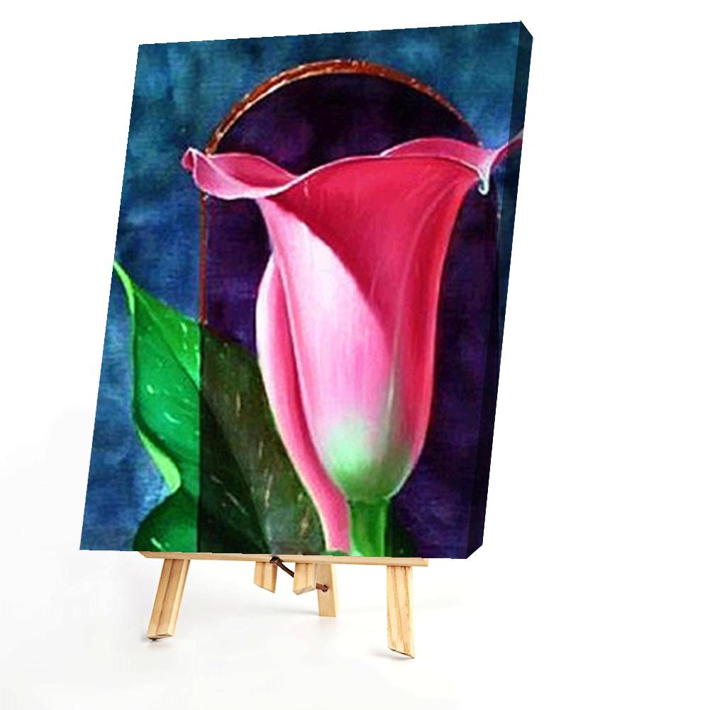 Calla Lily - Painting By Numbers - 40*50CM gbfke