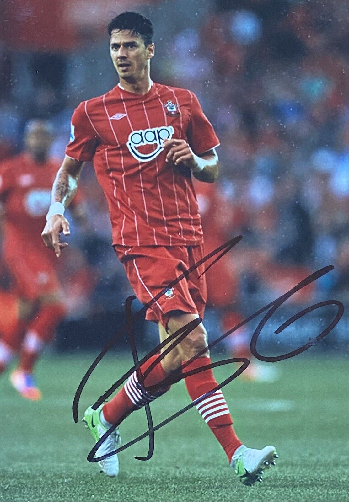 Jose Fonte Genuine Hand Signed Southampton 6X4 Photo Poster painting 3