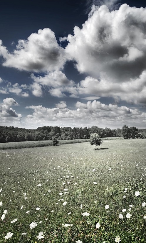 

Meadow Clouds – Paint By Numbers - 40*50CM, 501 Original