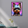 Yorkshire Terrier - Rundbohrer Diamant Malerei - 30*40cm