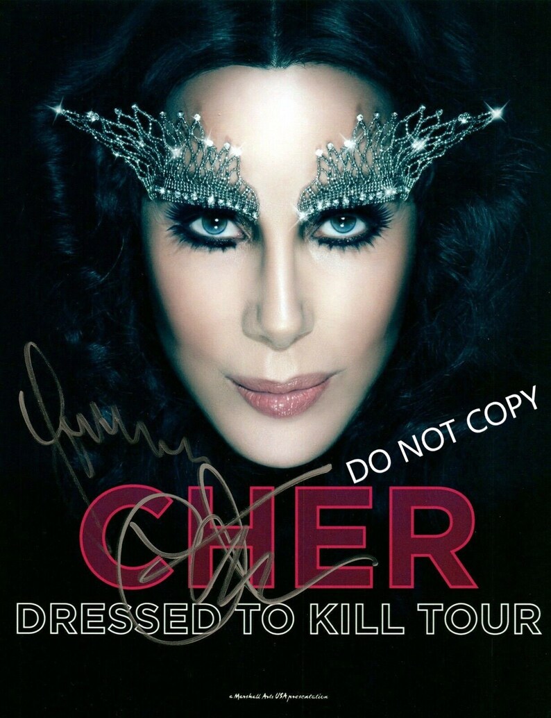 Cher Legendary Singer 8 x10 20x25 cm Autographed Hand Signed Photo Poster painting