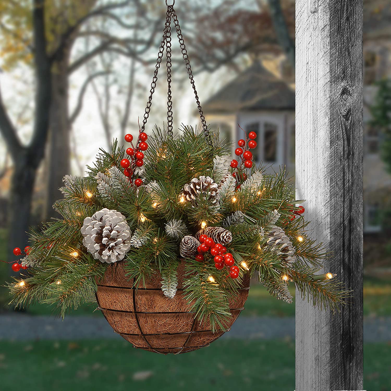 Amazon.com: National Tree Company Pre-lit Artificial Christmas Hanging  Basket - Flocked with Mixed Decorations and White LED Lights - Frosted  Berry - 20 Inch : Home &amp; Kitchen