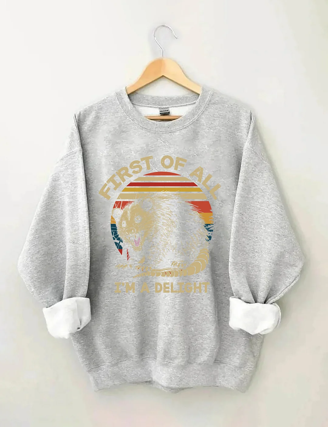 First Of All I'm A Delight Sarcastic Angry Opossum Lover Sweatshirt