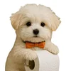 Wall Mount Toilet Paper Roll Holder Dog Shape Paper Stand for Kitchen Bathroom
