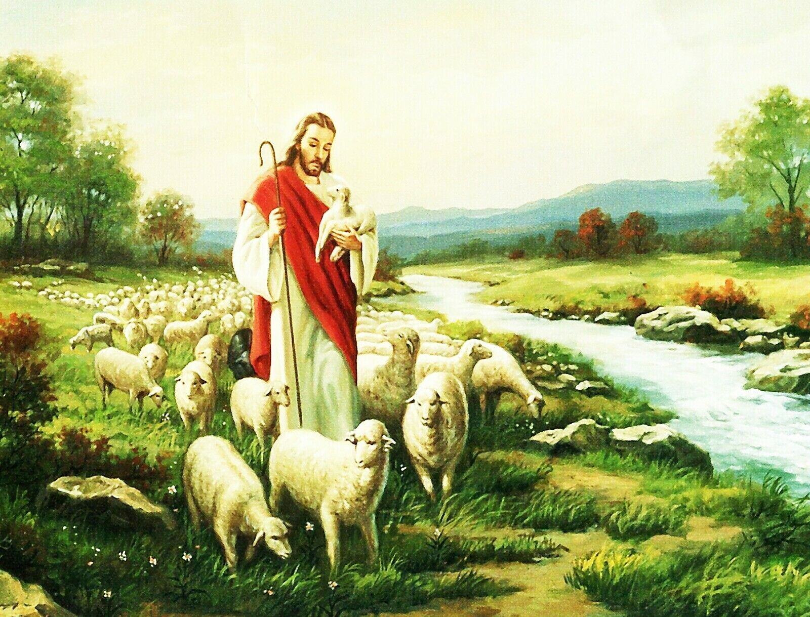 JESUS CHRIST THE LAMB OF GOD 8.5X11 Photo Poster painting PICTURE REPRINT CHRISTIAN LOST SHEEP