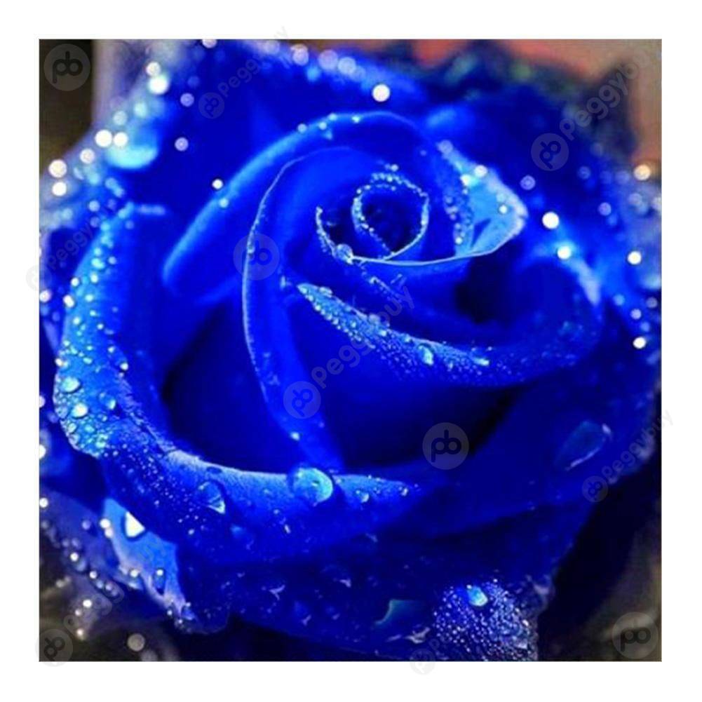 

30*30CM Round Drill Diamond Painting-Blue Rose, 501 Original