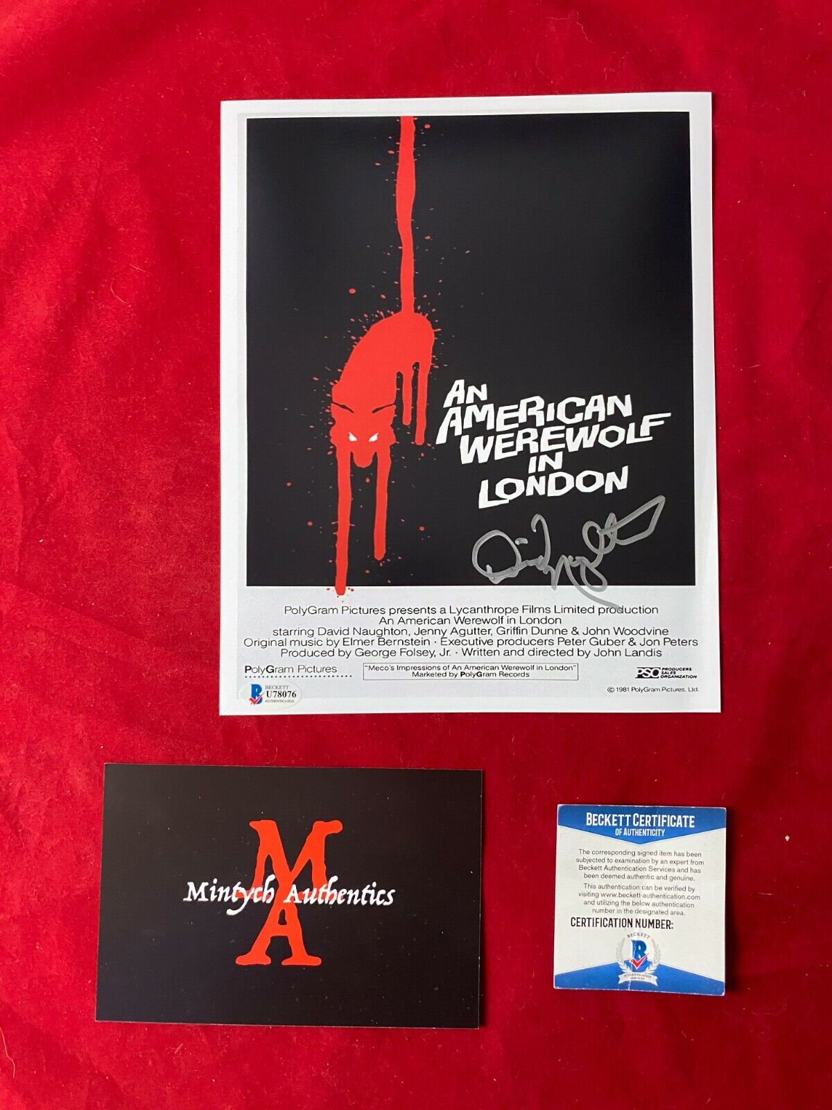 DAVID NAUGHTON AN AMERICAN WEREWOLF IN LONDON SIGNED 8X10 Photo Poster painting! BECKETT COA!